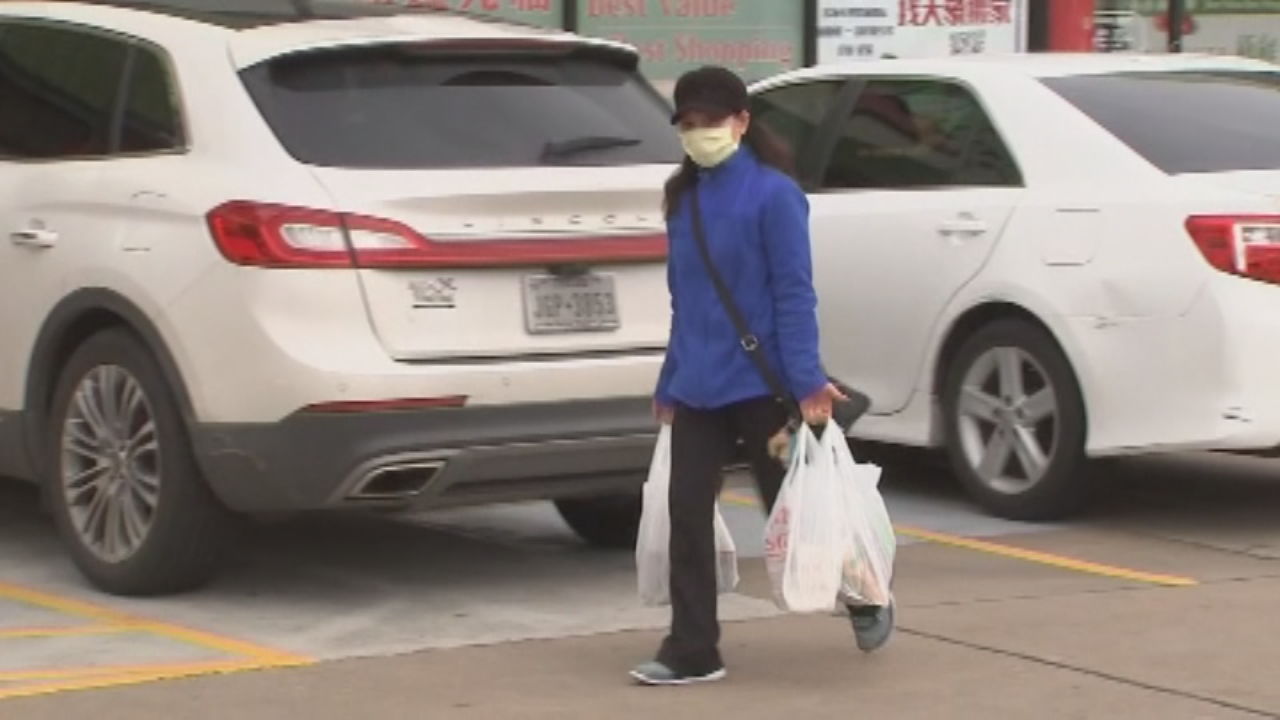 Woman with mask, shopping bags.jpg